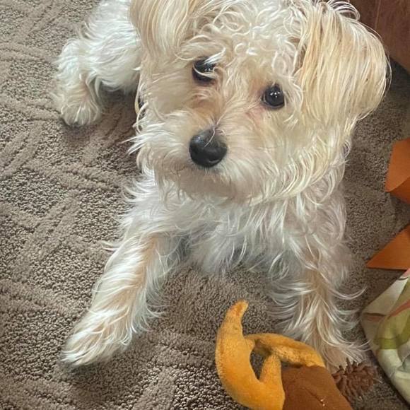 Meet your Posher, Margaret - Picture 1 of 1